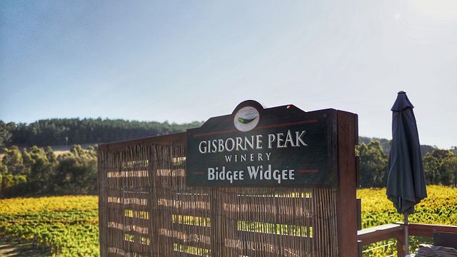 Gisborne Peak Winery