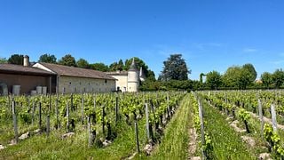 Vin- och ostverkstad på Château Cruzeau