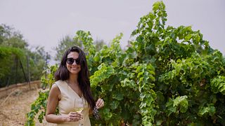 MALAGA TOP WINE TOUR-  Organic Vineyard & Garaje Cellar visit + 6 top exclusive wines + paired tapas. 100% Authentic experience