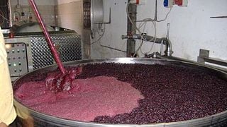 Dégustation de vins et visite à Sant'Agnese