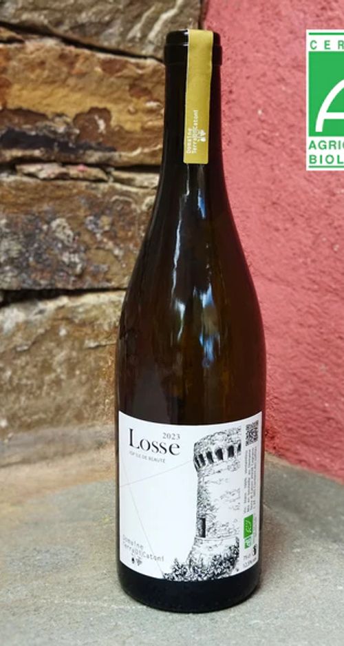 Losse Blanc 2024