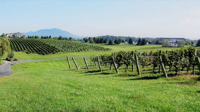 CrossKeys Vineyards
