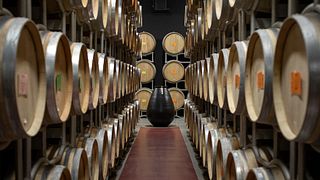 Vertical wine tasting of brunello di Montlacino