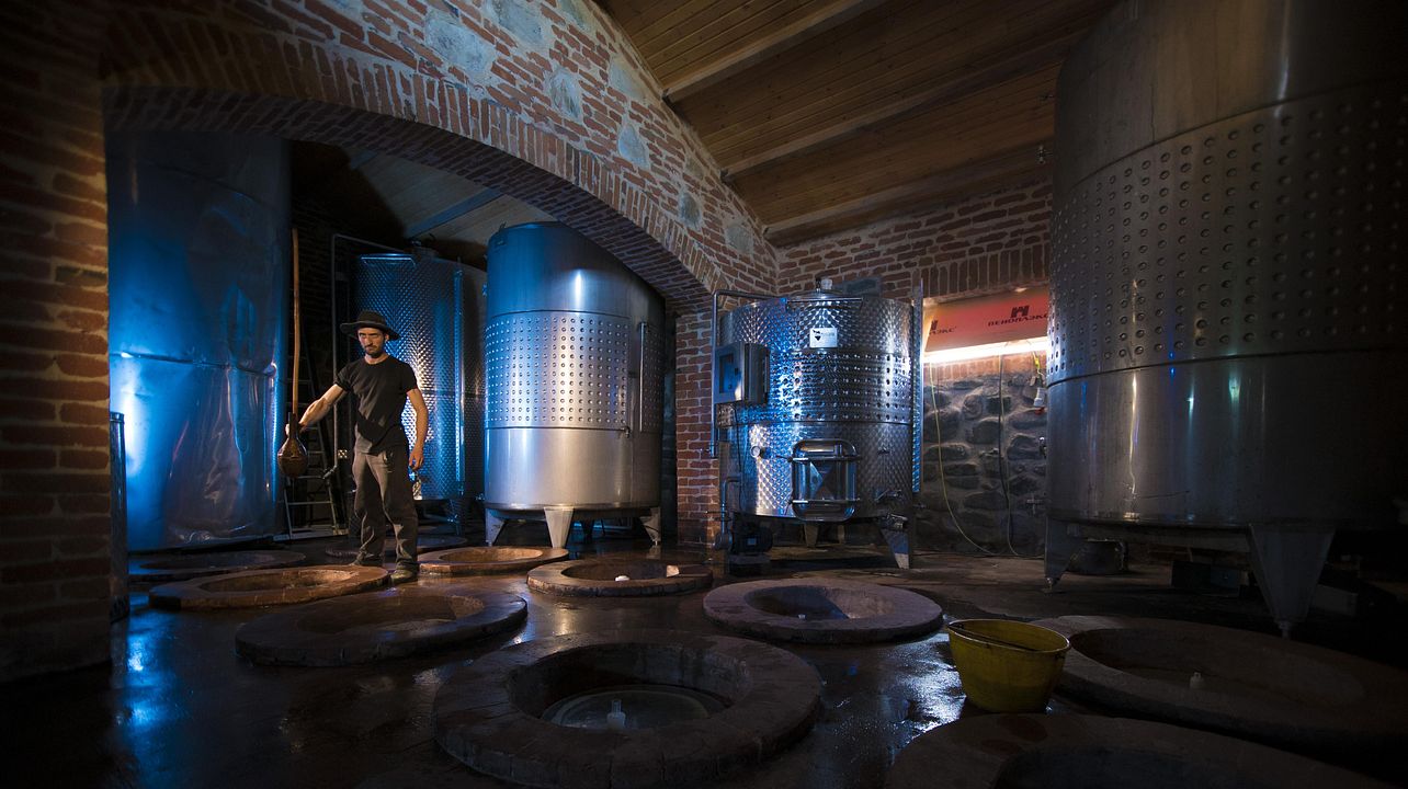 Dégustation de vins au domaine Zangaura  