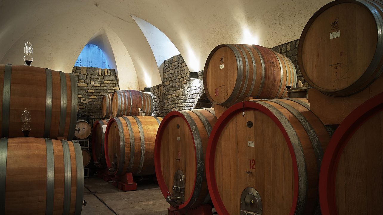 Descubrimiento del vino Taurasi