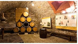 Weinprobe und Führung im Fruitière Vinicole d'Arbois