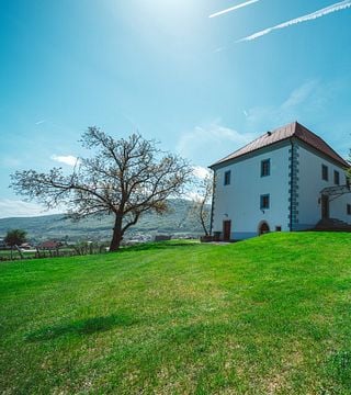 Cata de vinos en Zlati Grič
