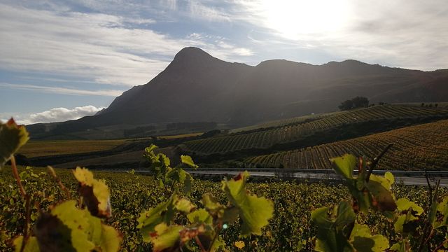 Degustação de vinhos no Domaine des Dieux