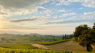 Domaine Ponty
