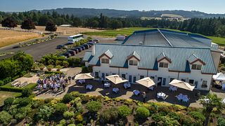 Dégustation de vins et visite des vignobles d'Anne Amie