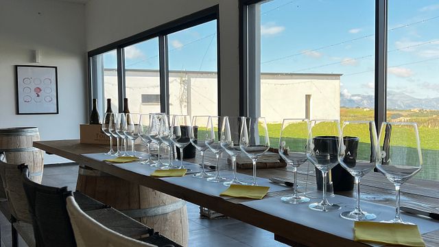 Voyage à travers les vins de la cave Tola – Entre élégance et territoire