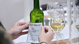 Laboratorio di vinificazione