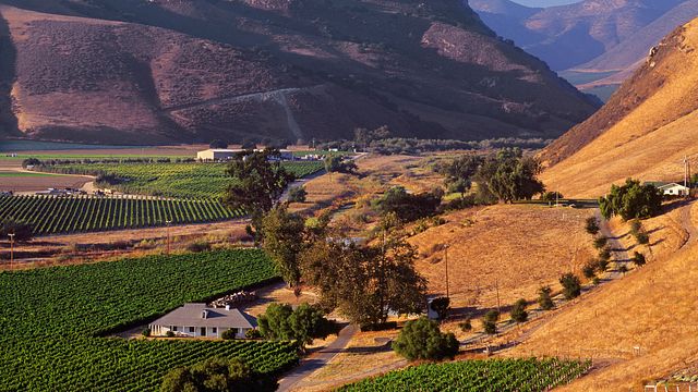 Bien Nacido & Solomon Hills Estate