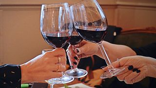 Explore Lazio Vineyards with a Cellar Tour & Local Tastes
