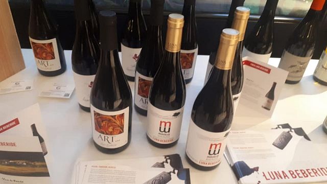 Weinprobe und Tour bei Bodegas Y Viñedo Luna Beberidec
