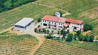 Vitivinicola Bellati