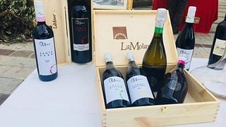 Dégustation de vins et visite à La Molara