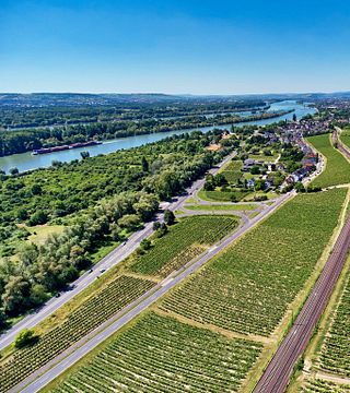 Weingut Balthasar Ress