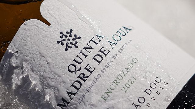 Degustazione di vini e formaggi Madre de Água