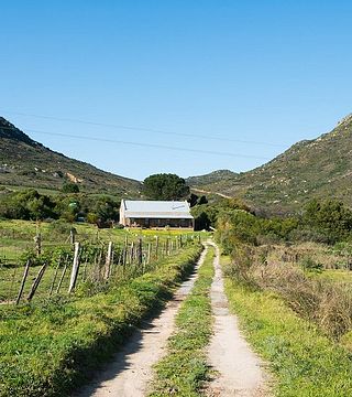 Maison Honey Badger au domaine Fybnos | Vignoble Dragonridge