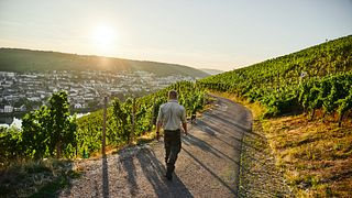 Weingut Witwe Dr. H. Thanisch, Erben Müller-Burggraef