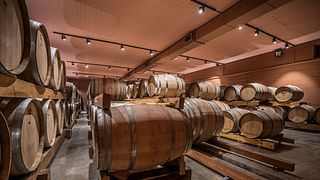 Dégustation de vins et visite de la cave Lykos