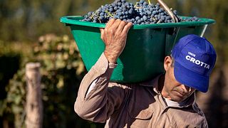 Bodegas Y Viñedos Crotta