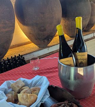 Dégustation de vins en amphore au domaine Malápio à Bairrada