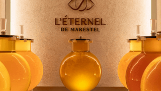 Esperienza di degustazione di vini Éternel