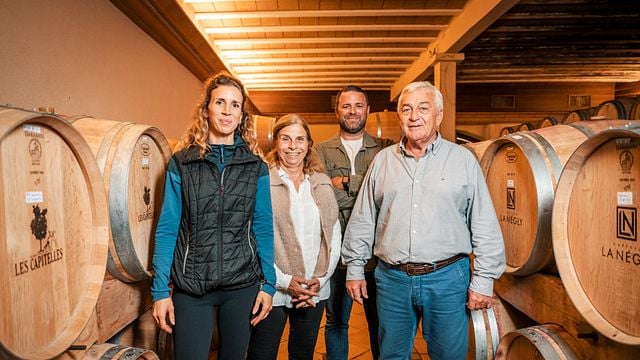 Languedoc-Roussillon Wine & Estate Tour