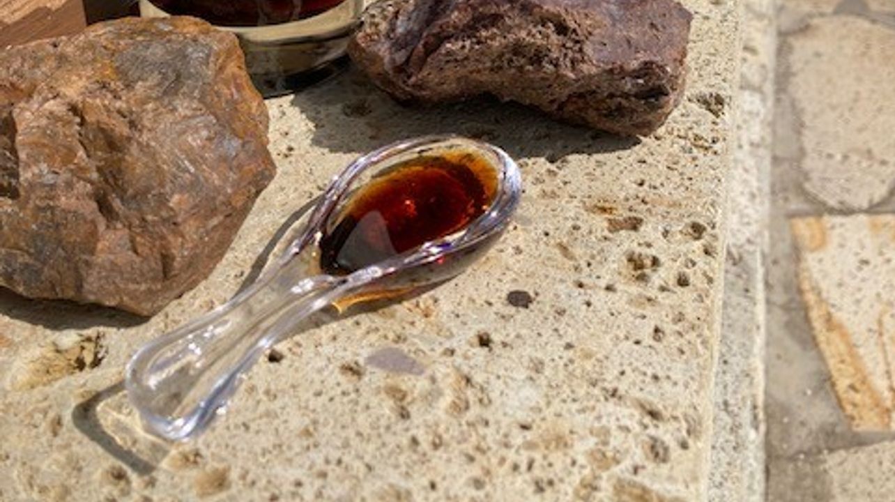 Tokajer Wein- und Essenzverkostungen