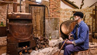 Boutique Winery Mikulić and Museum of Pelješac Tradition