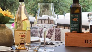 Degustação de vinhos Platinum na Vinícola Icario