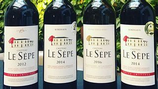 Dégustation et visite de vins au Château Le Sèpe
