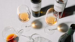 Assaggia 4 vini Qvevri - Tour Qvevri 