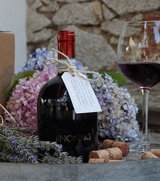 Dégustation de vins et visite à la Cantina Fontechiara