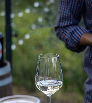 Trüffelsuche und Weinprobe bei Zerbosco Wine & Tasting