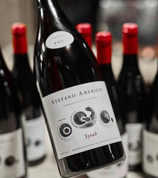 Degustazione e tour di vini da Stefano Amerighi