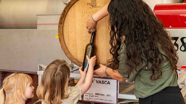 Degustação de azeites e vinhos na Fattoria La Palagina