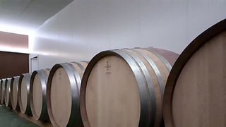 Degustazione di vini e tour al Celler Coma D'en Bonet