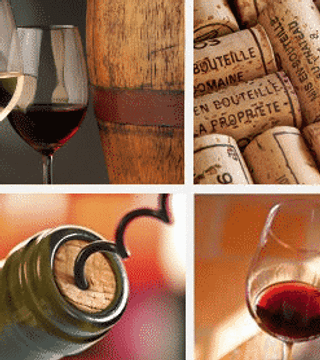 Degustação de vinhos no Domaine de Cassan