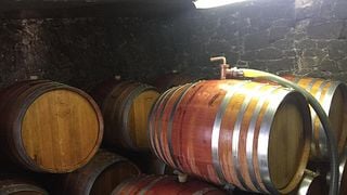 Degustazione di vini e visita al Domaine l'Ancienne Cure