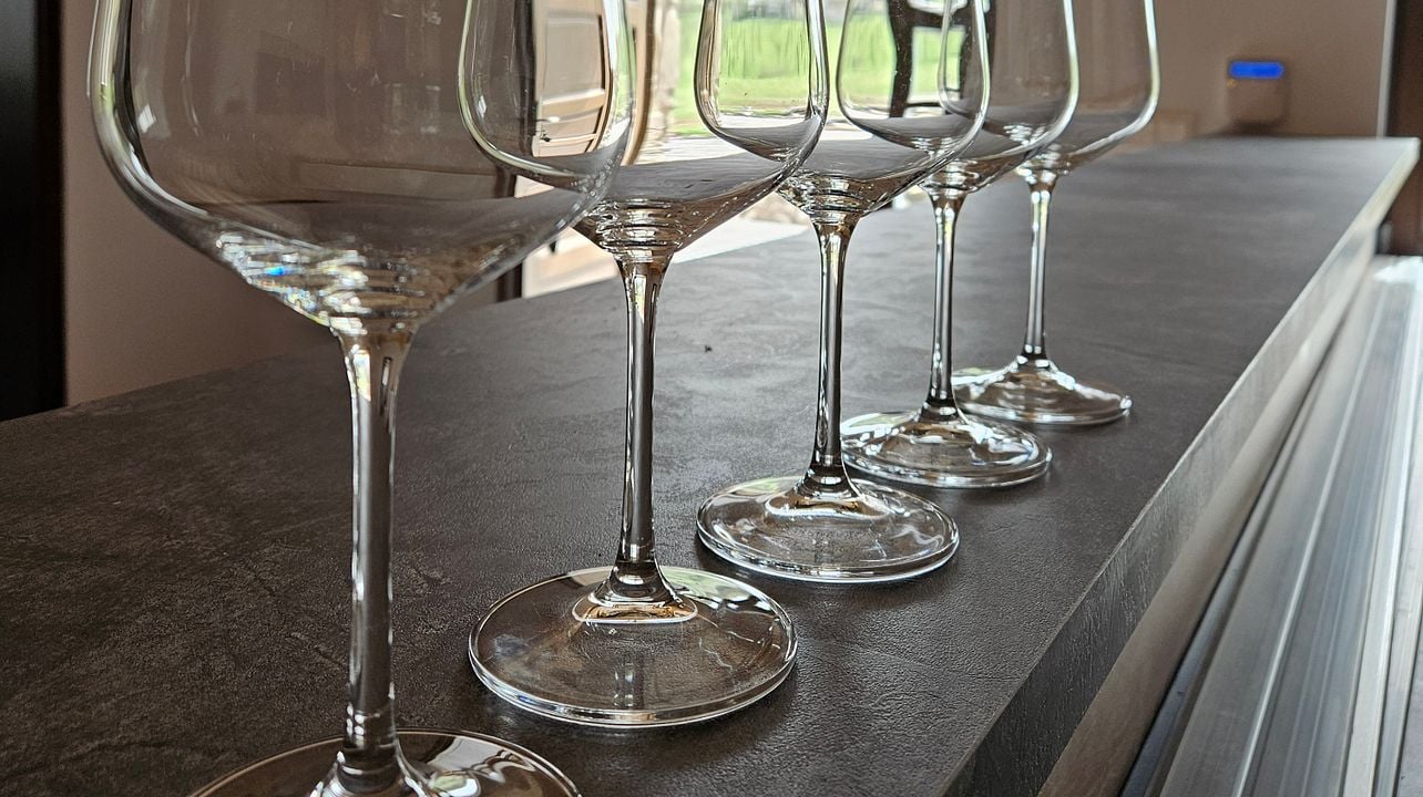 BASIC wine tasting - One hill, one winery, unique volcanic character