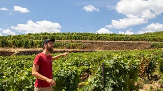 Recorrido histórico por el valle del Duero: pueblos antiguos, bodega, crucero y almuerzo