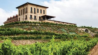 Bodegas Manzanos