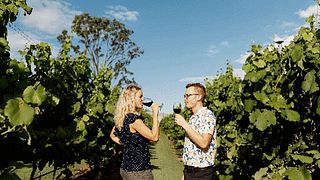 Hop-on-Hop-off-Bus – Berg Tamborine 