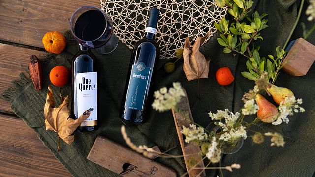 Prenota un viaggio di degustazione di vini con Aziendia Agricola Trevisani