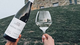 Rose Valley Blend Tasting at Château Copsa