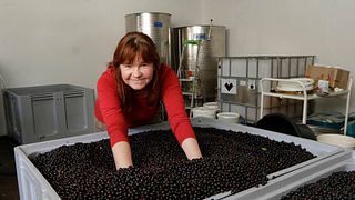Valgejõe Veinivilla - Estonia's Northernmost Winery