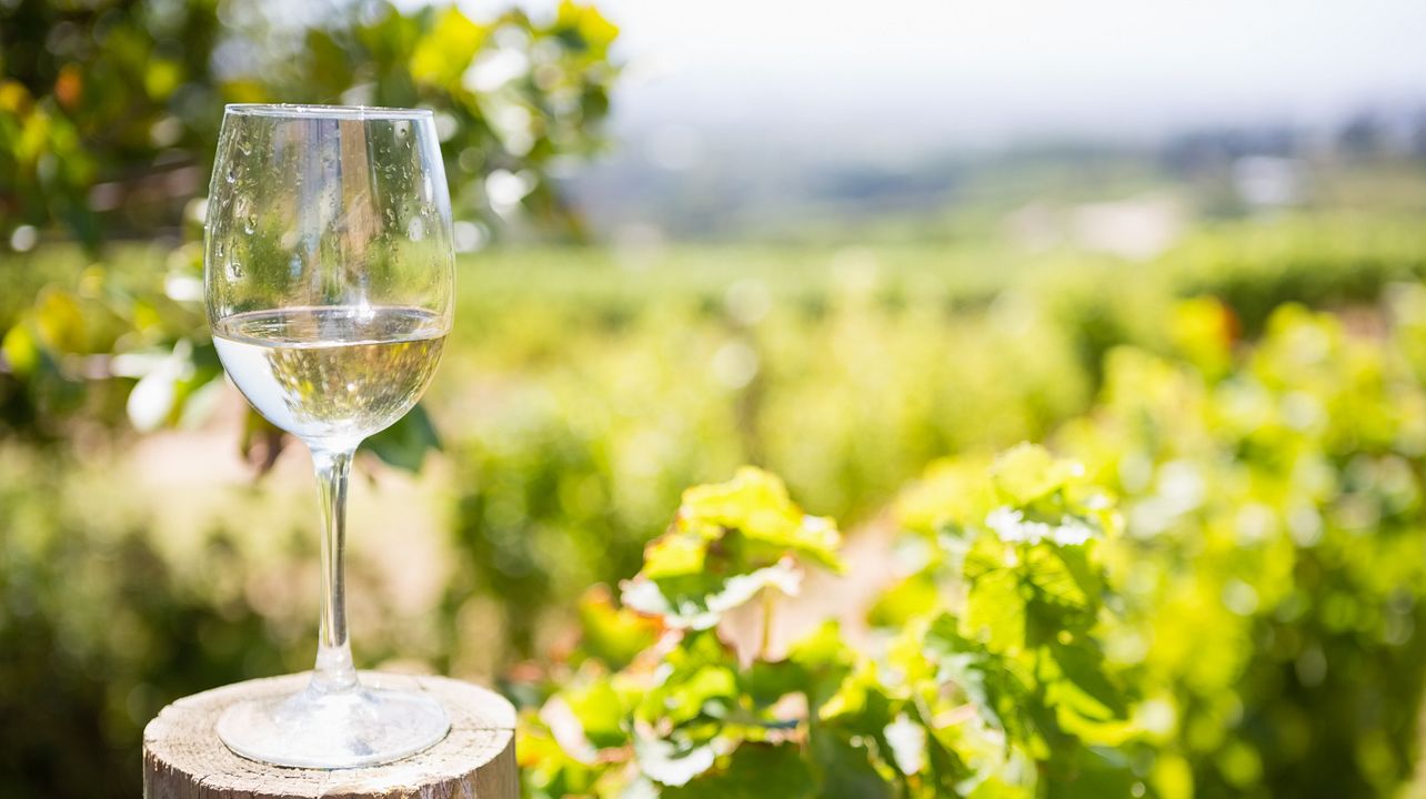 Cyprus Taste Tours
